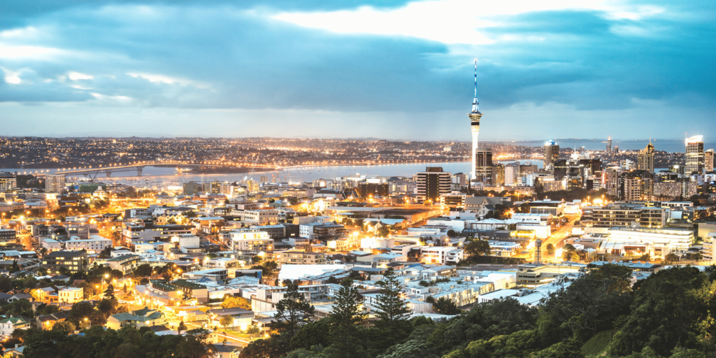 The Digital Marketer's Path to Success in Tech and E-commerce: A New Zealand Perspective