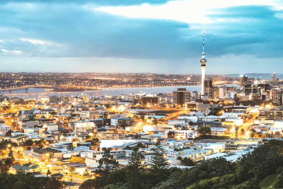 The Digital Marketer's Path to Success in Tech and E-commerce: A New Zealand Perspective